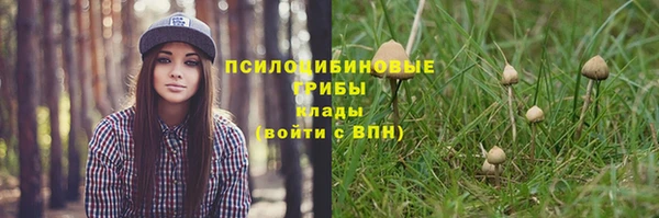альфа пвп Богданович
