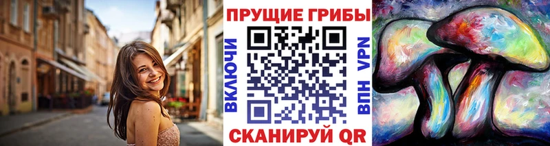 площадка наркотические препараты  Бодайбо  Псилоцибиновые грибы MAGIC MUSHROOMS  OMG маркетплейс 